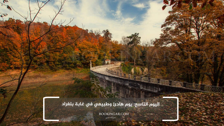 إجازة عيد الفطر 2026 | جدول سياحي في اسطنبول لمدة 14 يوم 11 9- اليوم التاسع: يوم هادئ وطبيعي في غابة بلغراد