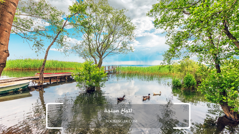 اكواخ صبنجة | أفضل إقامة في الطبيعة الساحرة 2026 1 اكواخ صبنجة