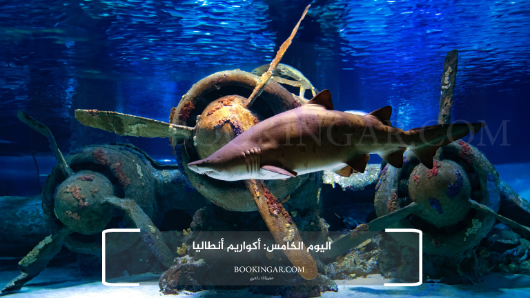 اليوم الخامس: أكواريم أنطاليا