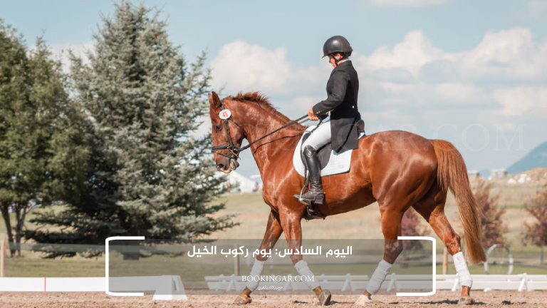 اليوم السادس: يوم ركوب الخيل