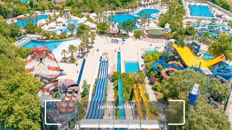 8- أكوا كلوب دولفين