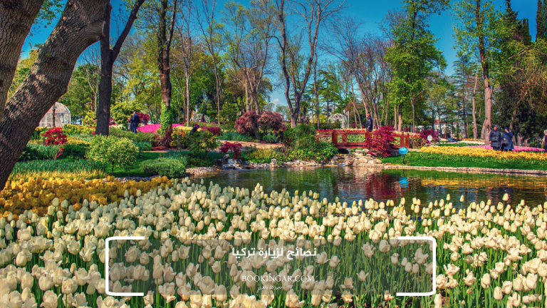 نصائح لزيارة تركيا