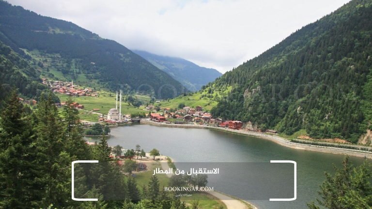 الاستقبال من المطار