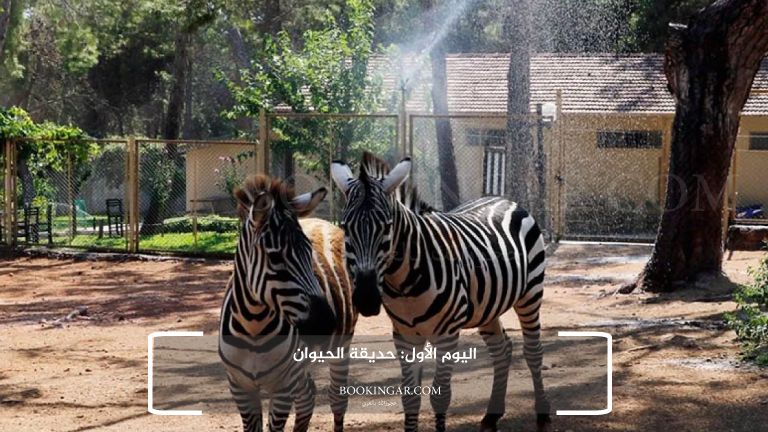 اليوم الأول: حديقة الحيوان