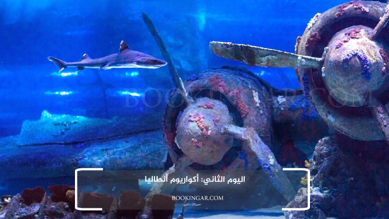 اليوم الثاني: أكواريوم أنطاليا
